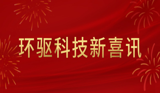 雙環